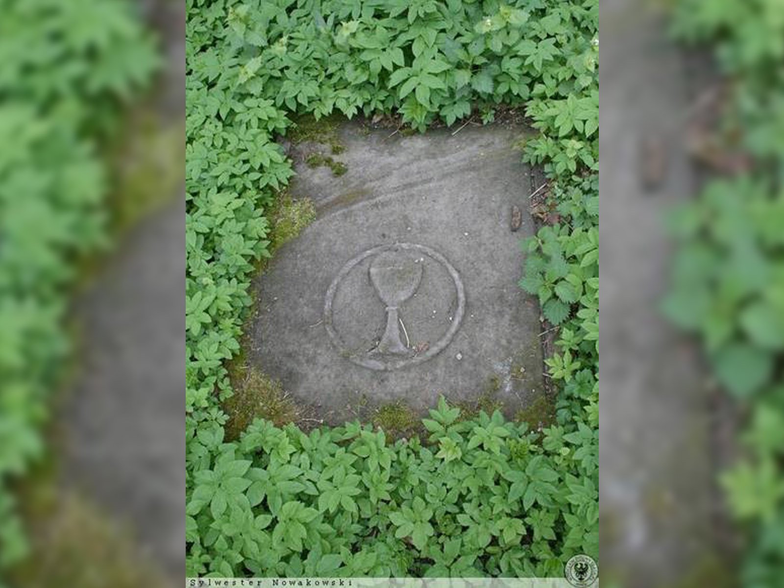 Ryc.3. Przykład płyty nagrobnej przy kościele św. Mikołaja w Świnach, S. Nowakowski (fot. na dzień 23.04.2023r. https://polska–org.pl/713944,foto.html?idEntity=557766)
