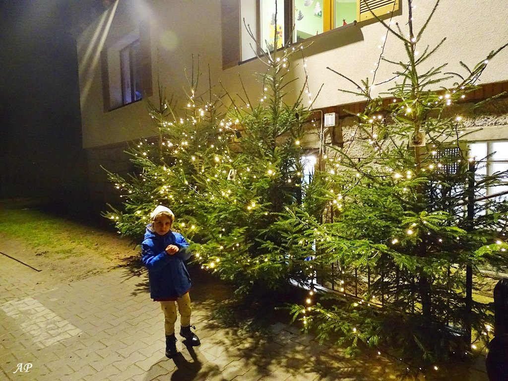 kiermasz-swiateczny-u-krasnala-haabay-121028