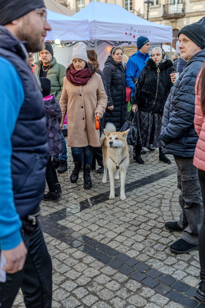 jarmark-zrobi-dobre-wrazenie-121031