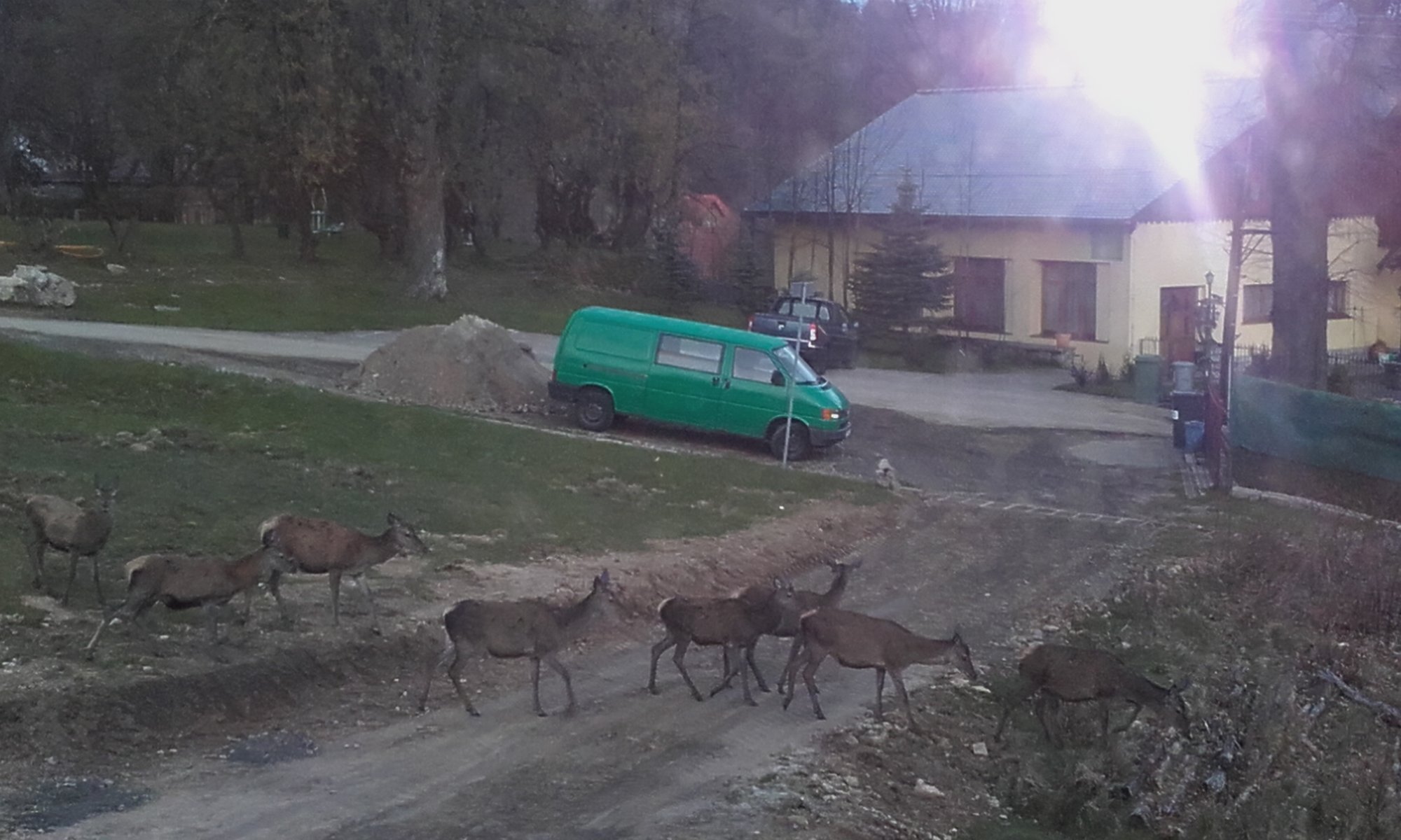 scena-niezgody-121042