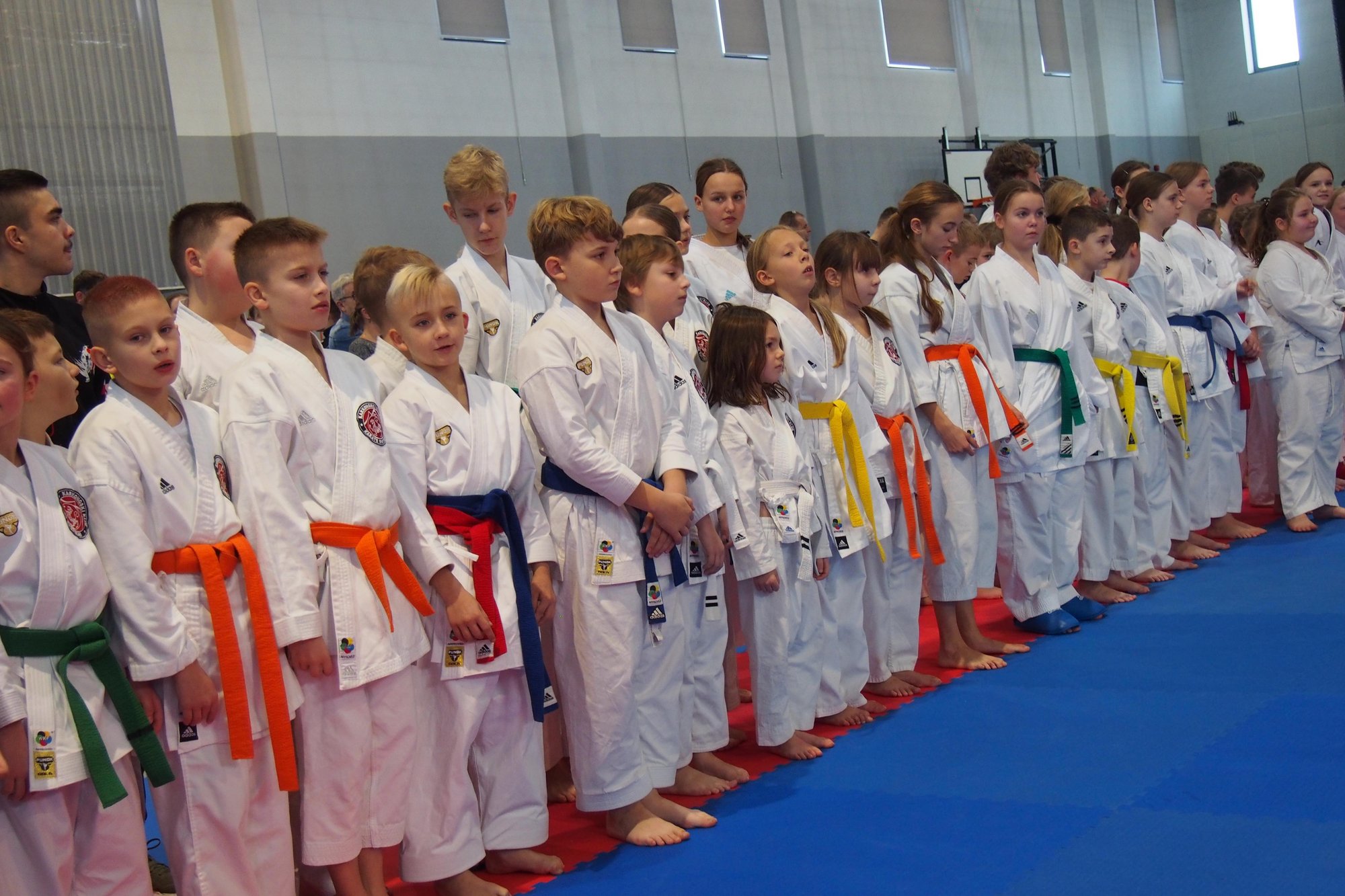 ponad-tuzin-medali-w-finale-wojewodzkim-121084