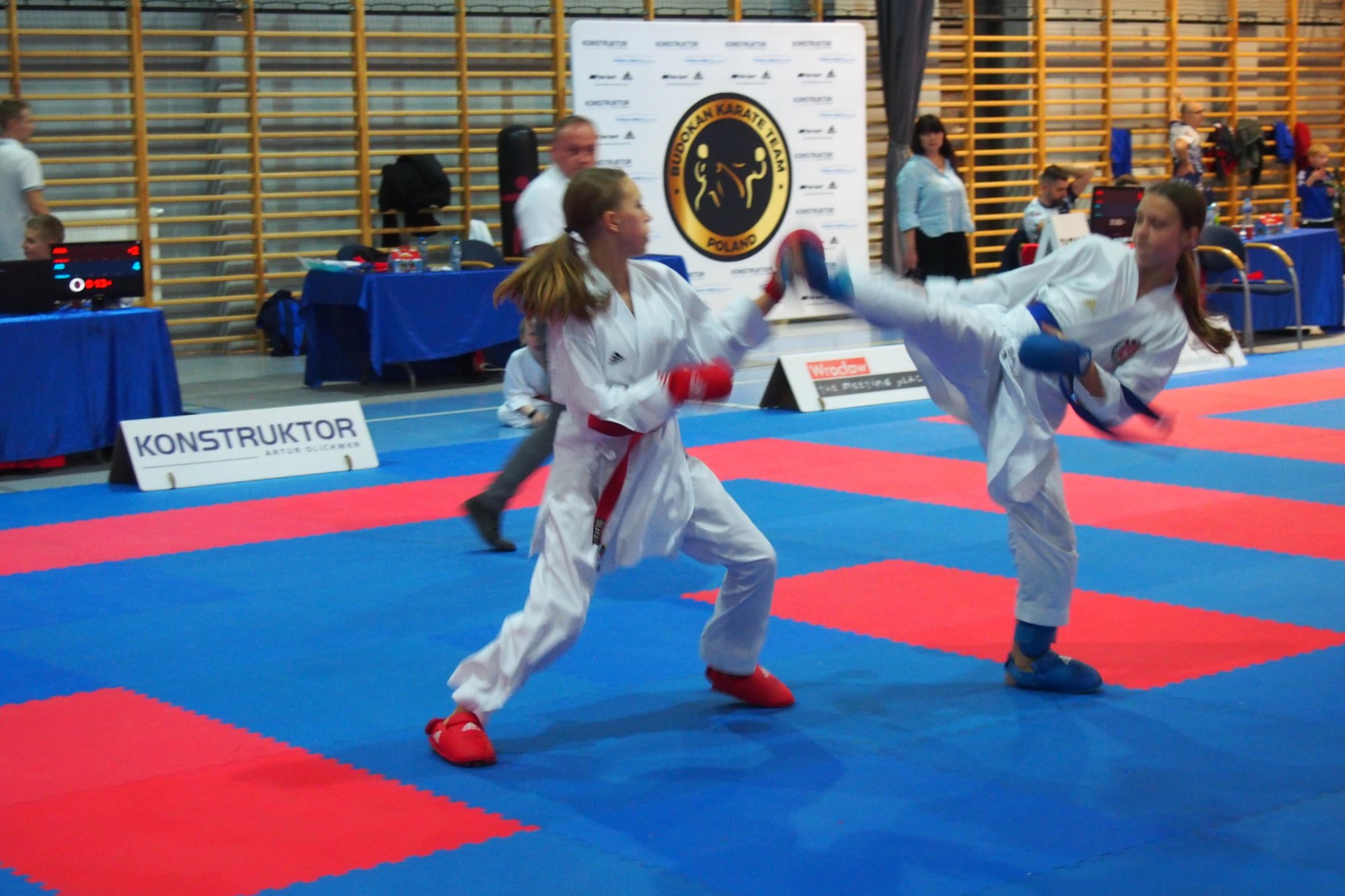 ponad-tuzin-medali-w-finale-wojewodzkim-121084