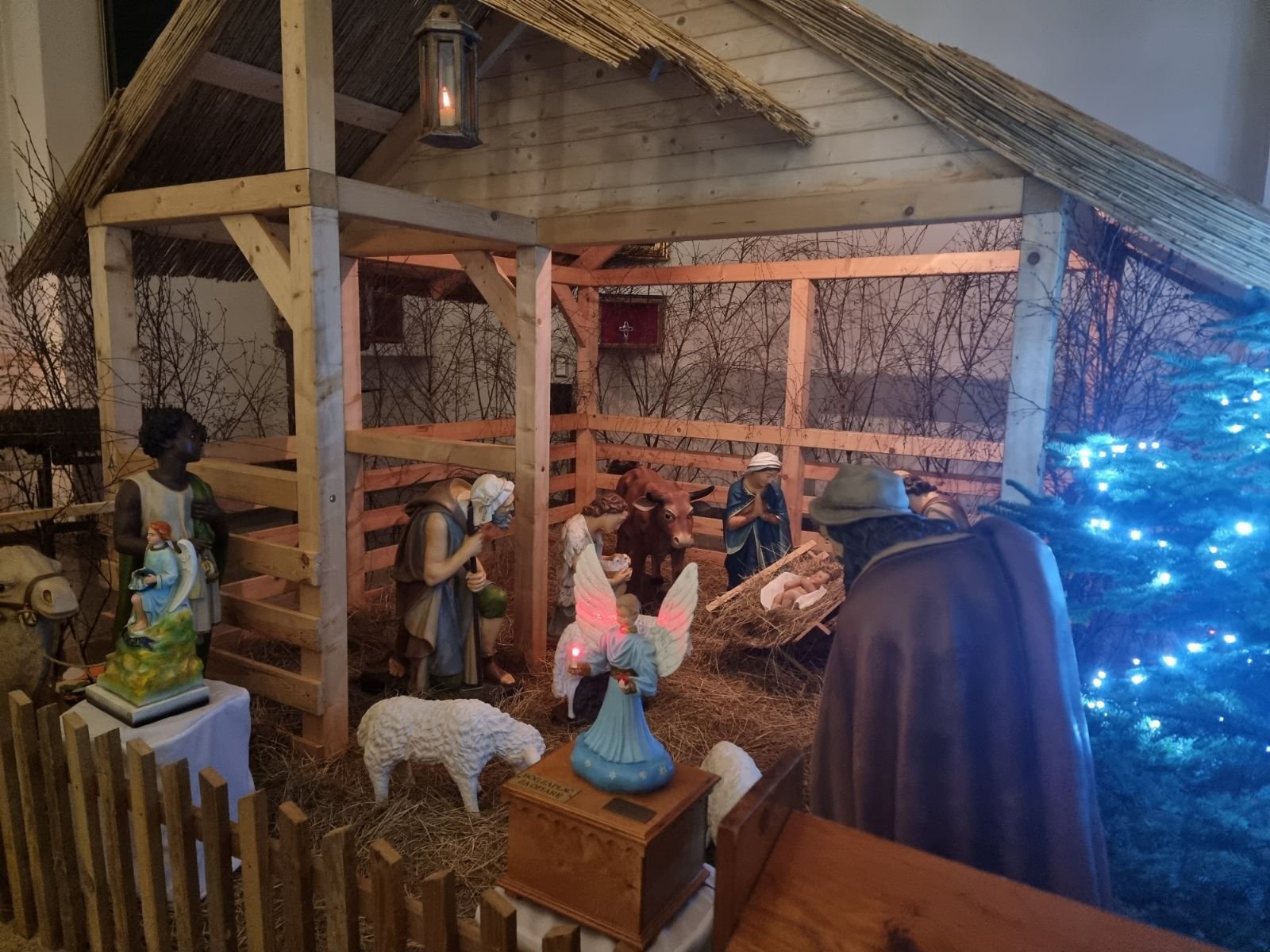 pasterki-na-zabobrzu-121207