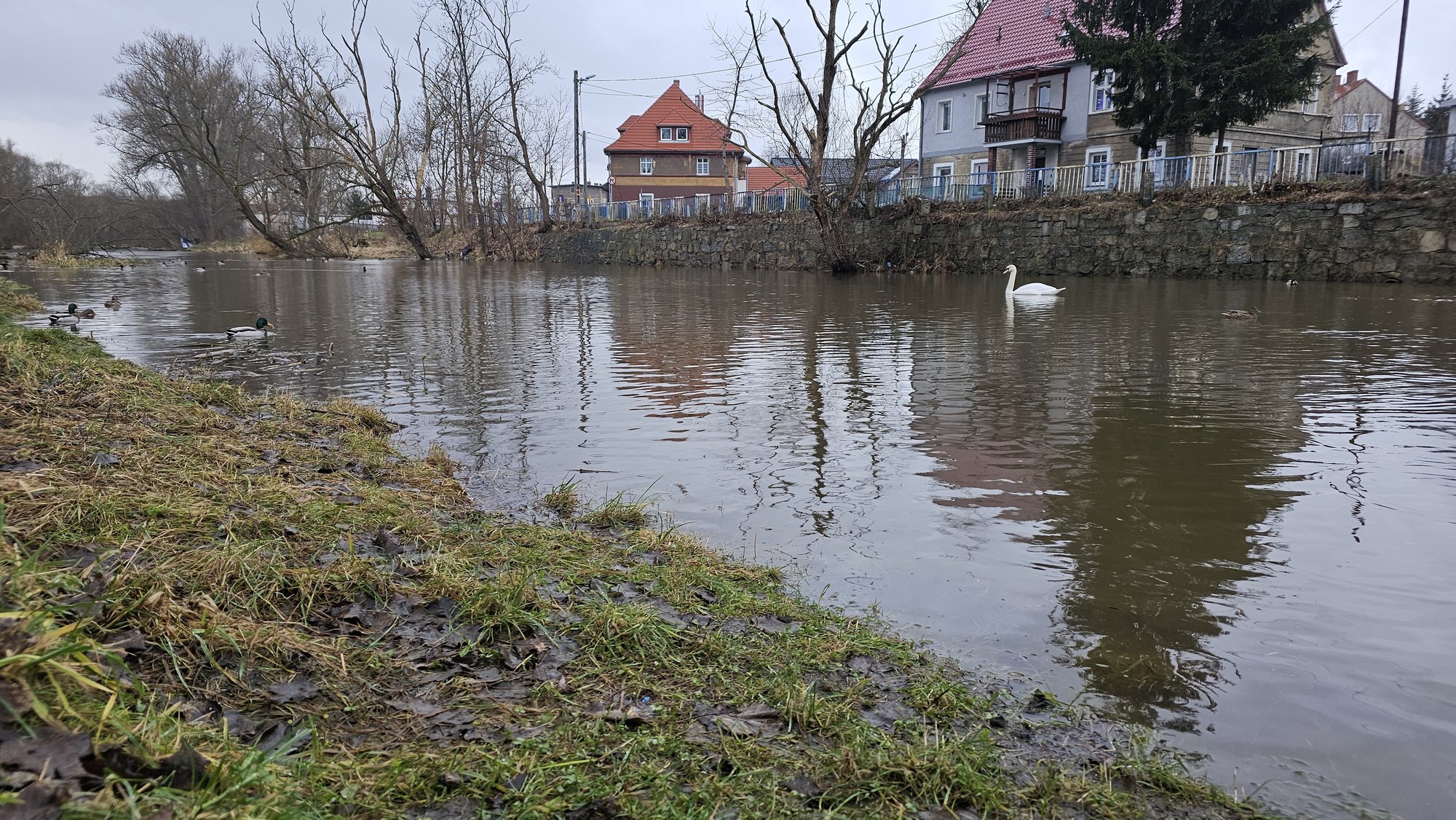 zabobrze-czesciowo-podtopione-121220