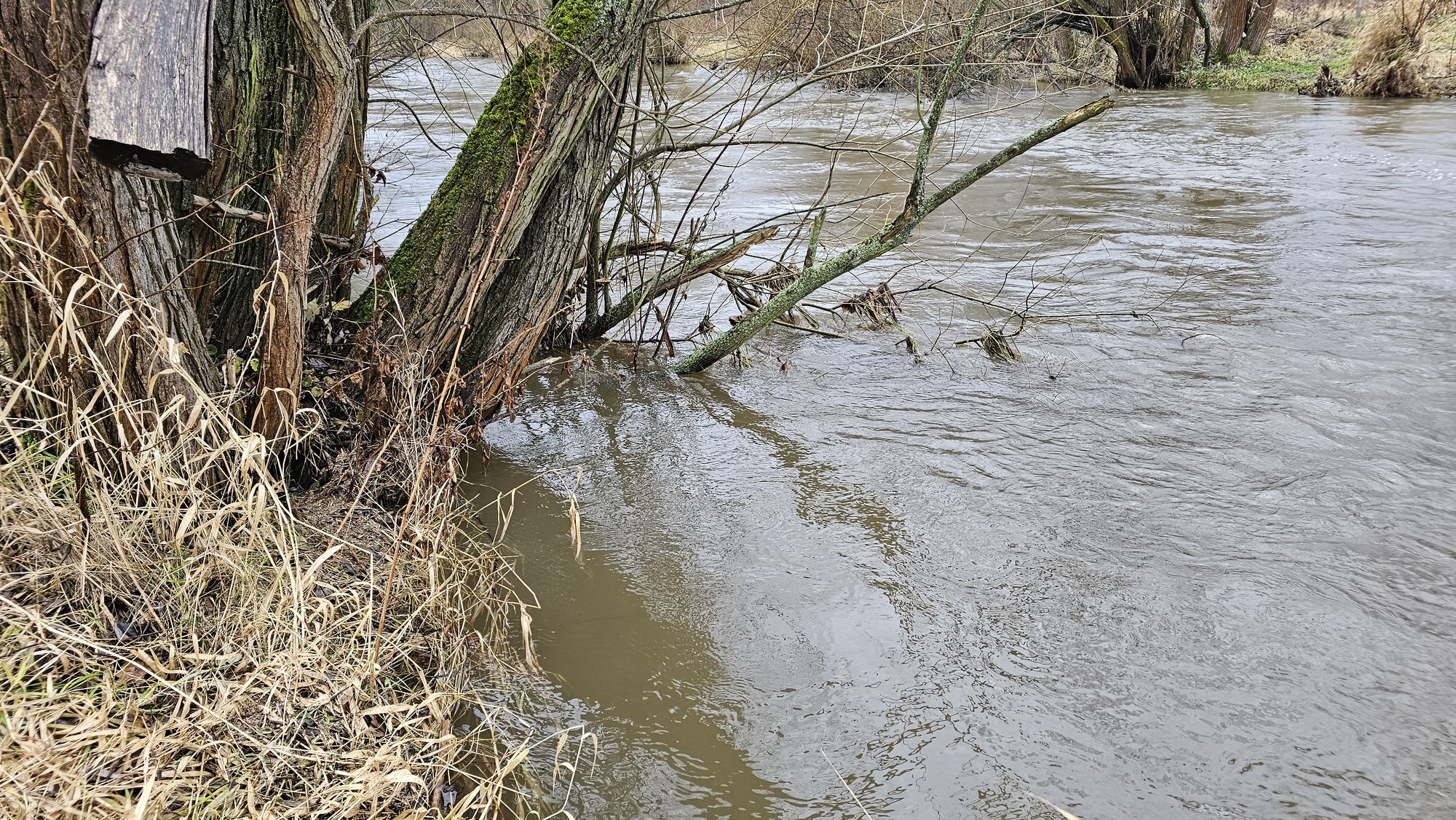 zabobrze-czesciowo-podtopione-121220