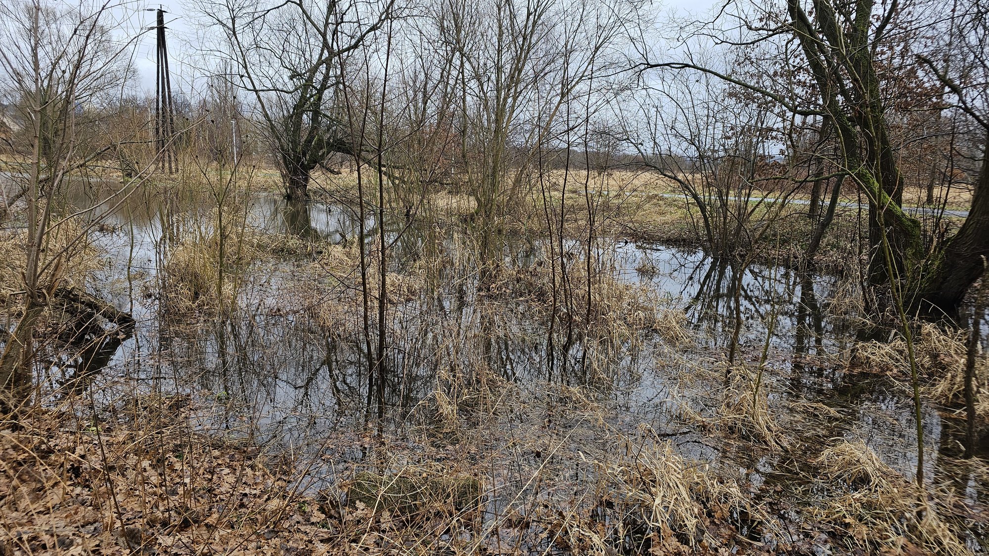 zabobrze-czesciowo-podtopione-121220