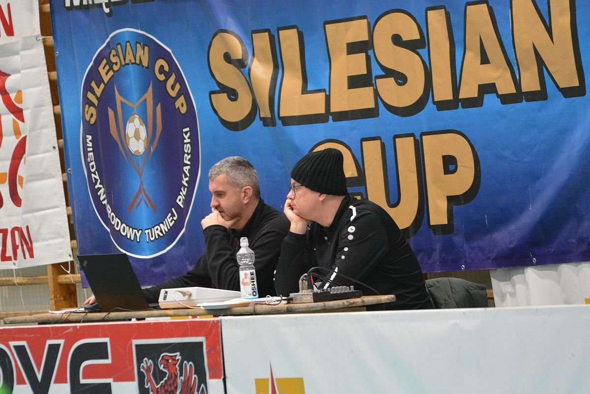 chojnik-daleko-121265