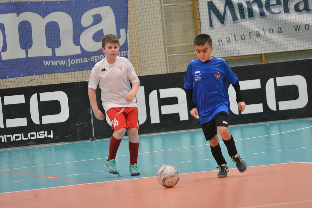 chojnik-daleko-121265