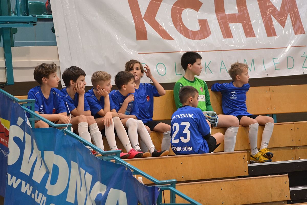 chojnik-daleko-121265