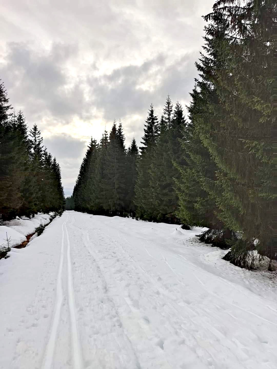 sylwester-i-nowy-rok-na-biegowkach-121291