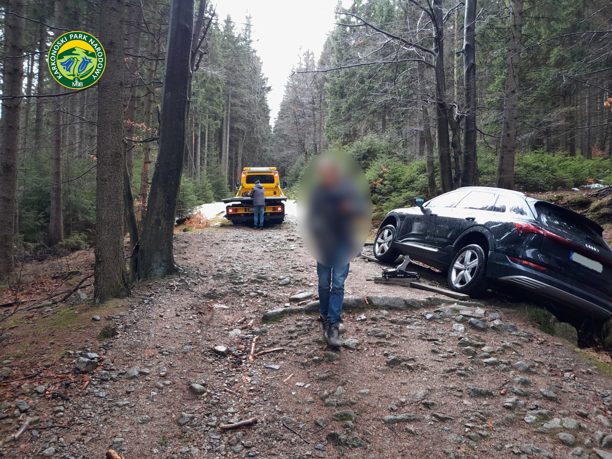 chcia-do-czech-wyladowa-w-lesie-121323