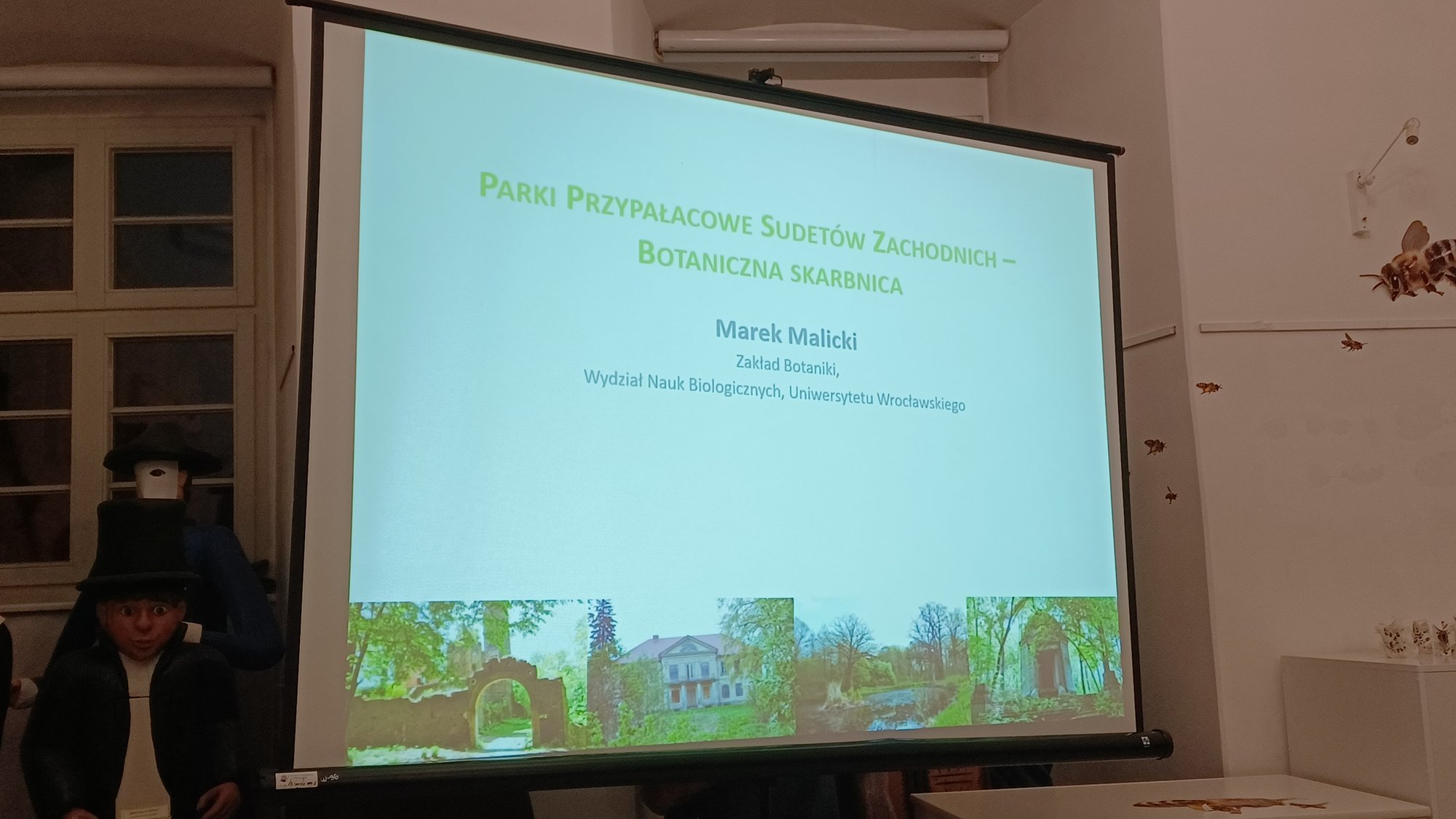 parki-przypaacowe-121664