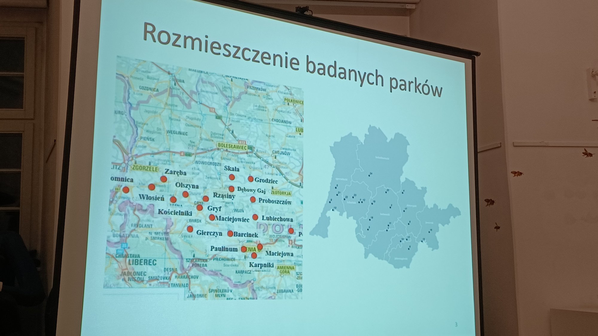 parki-przypaacowe-121664