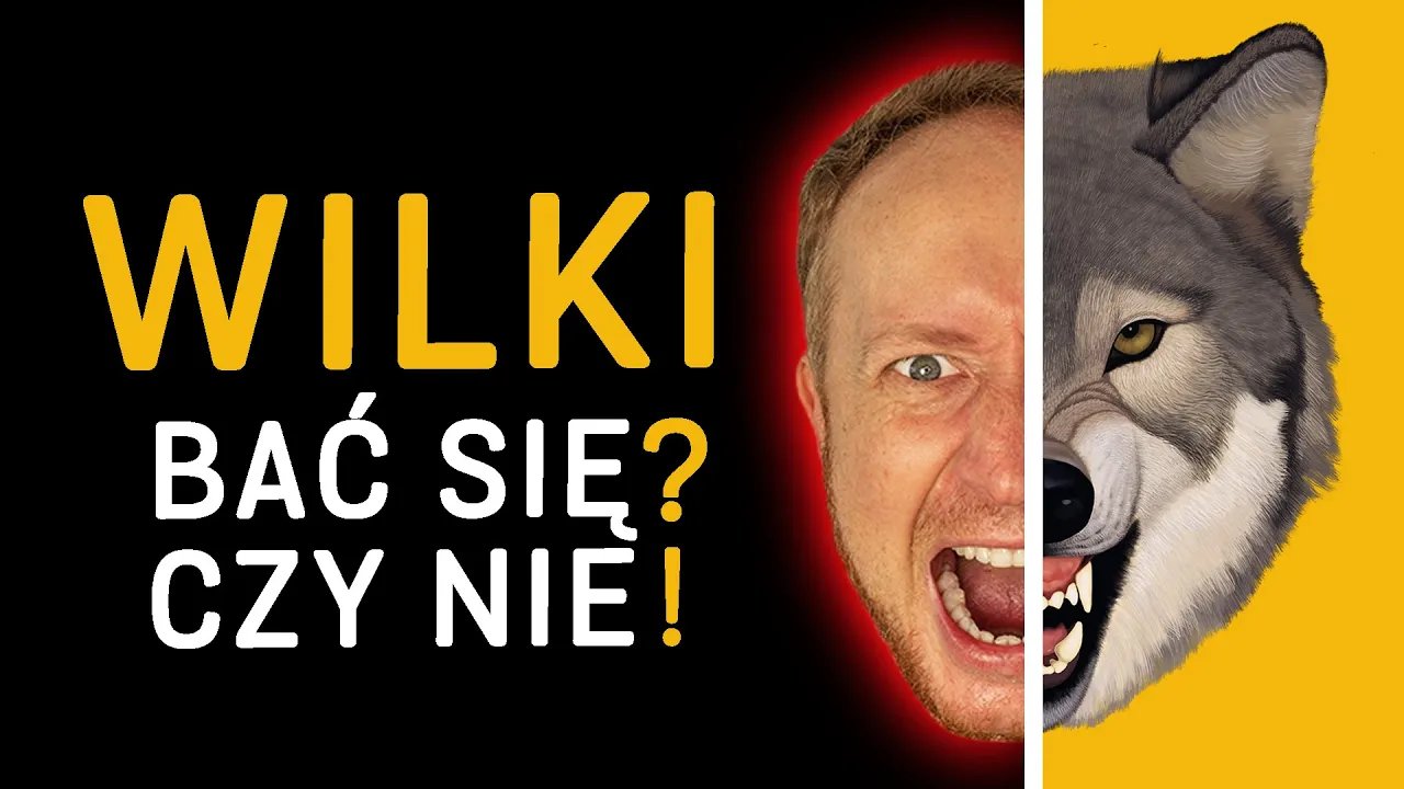 ludzie-komentuja-wilki-zagryzy-konia-121786