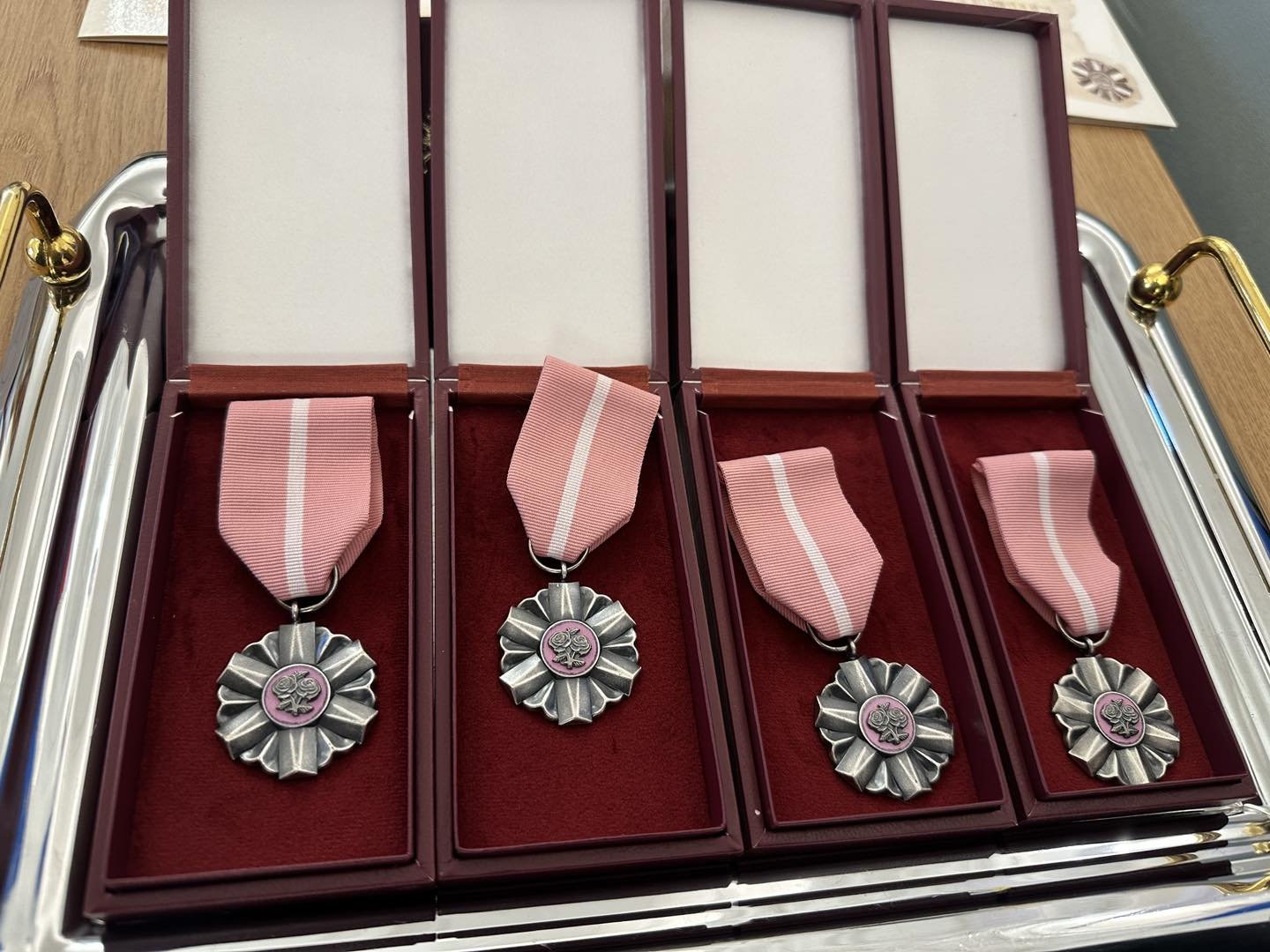 zote-gody-z-medalami-od-prezydenta-121955