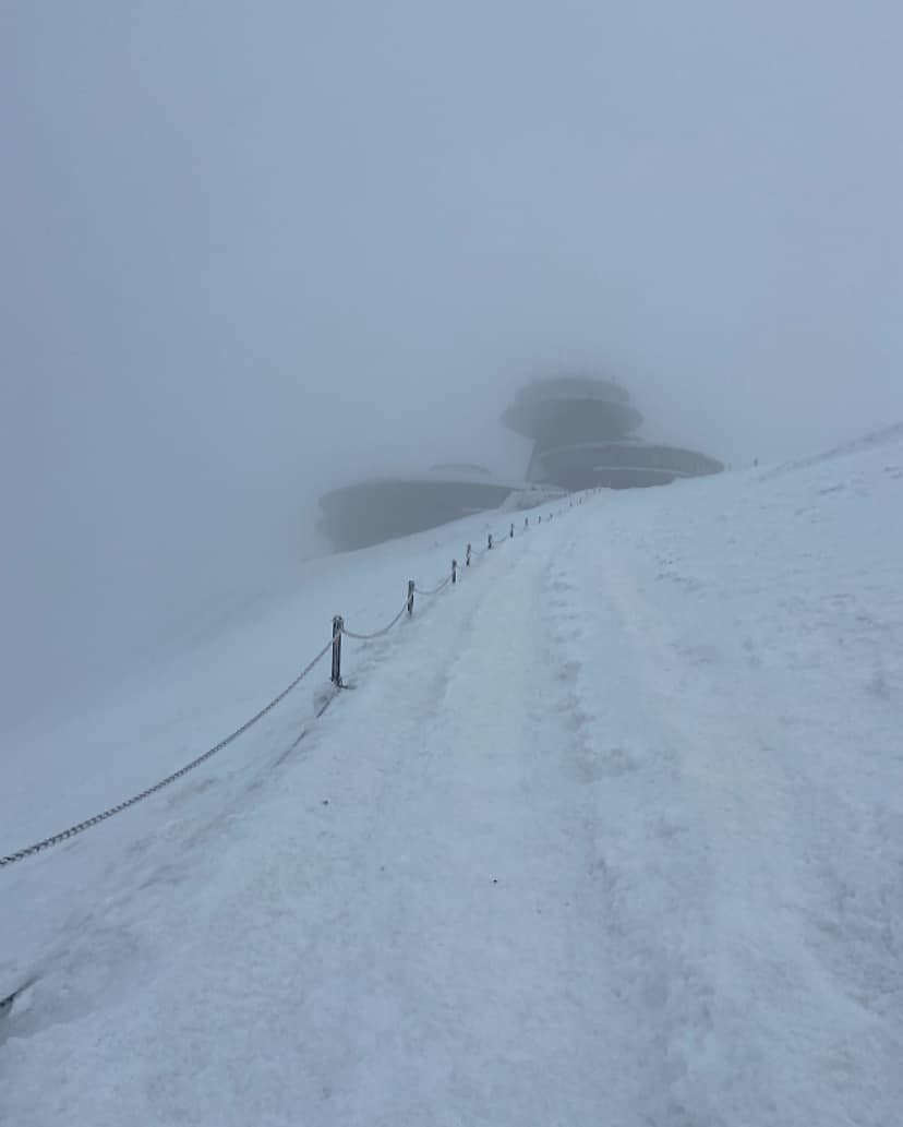 zywy-lod-na-gorze-122097