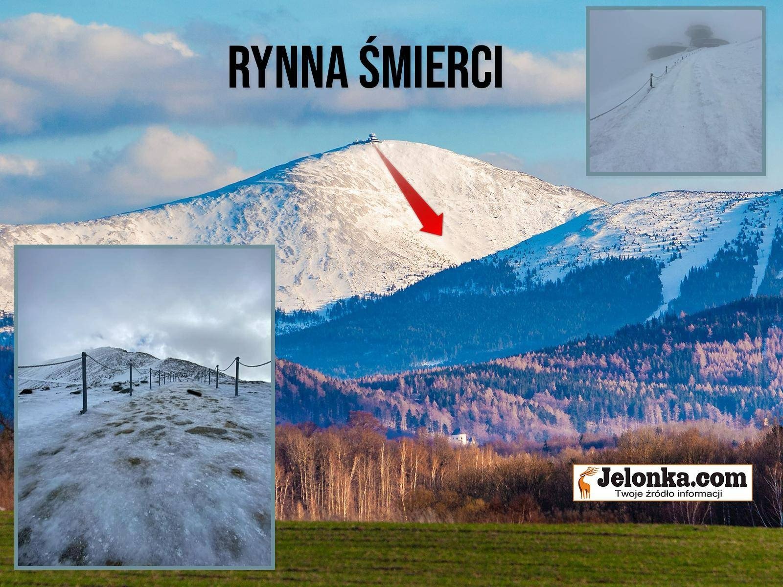 zywy-lod-na-gorze-122097
