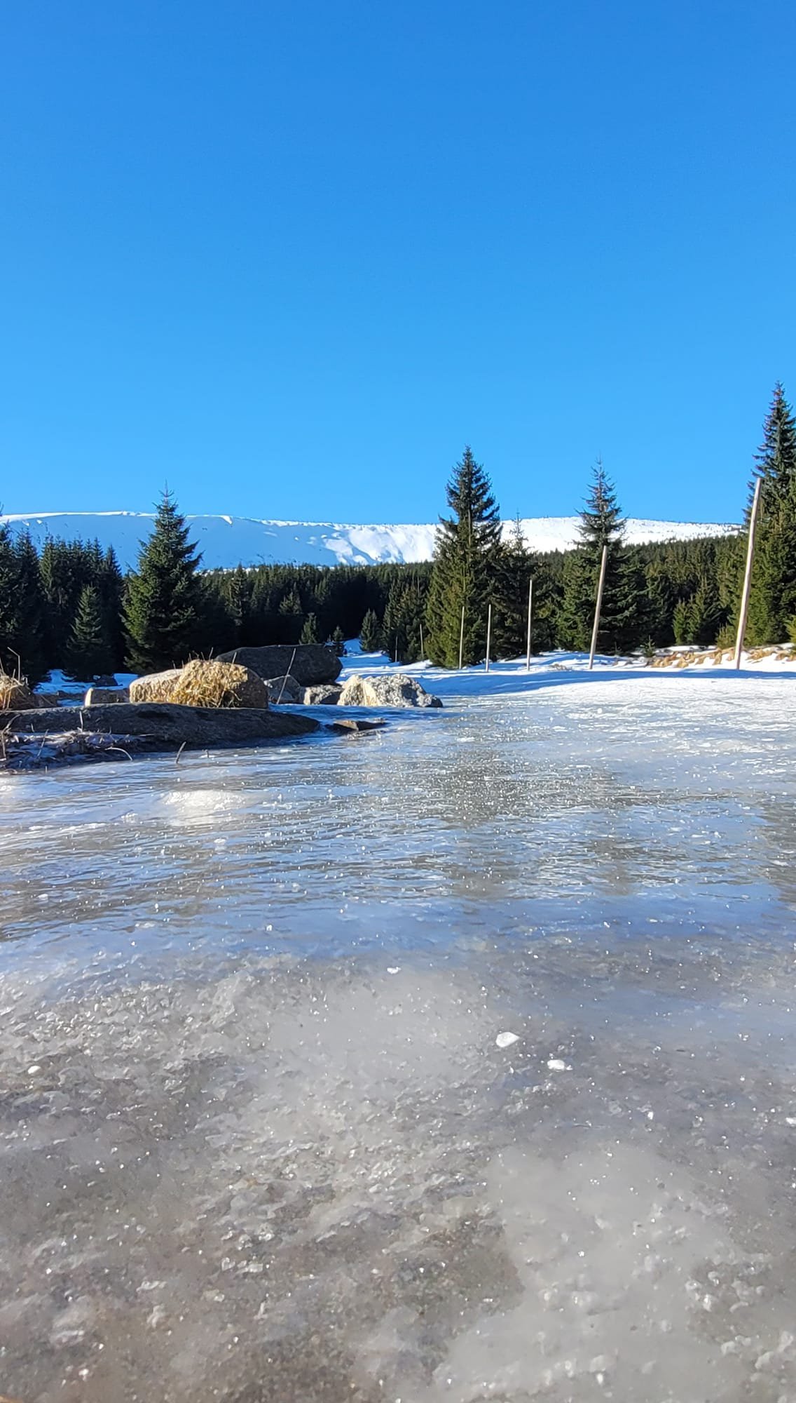 ludzie-komentuja-dzieci-bay-sie-pakay-i-nie-chciay-isc-dalej-122124