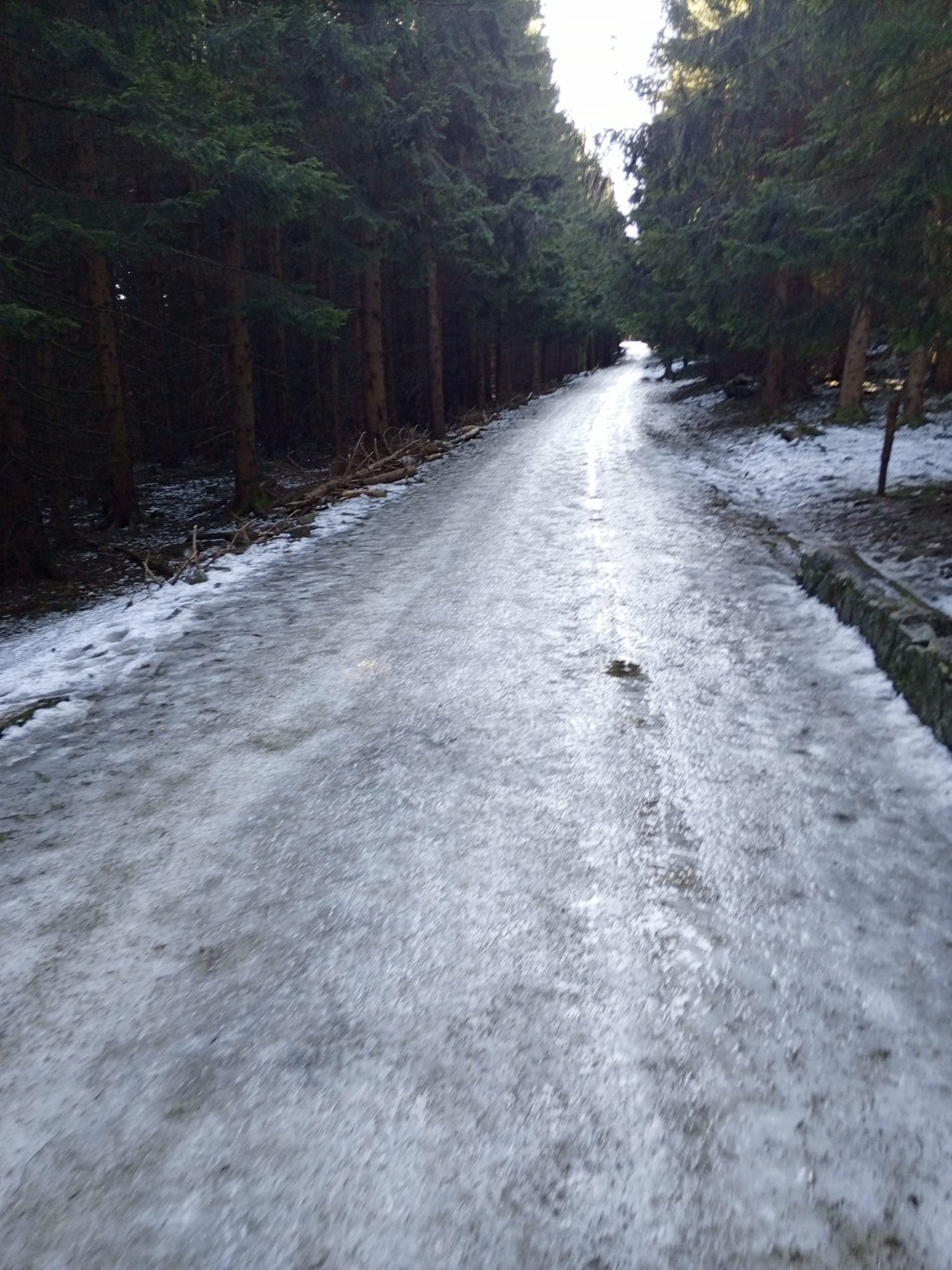 ludzie-komentuja-dzieci-bay-sie-pakay-i-nie-chciay-isc-dalej-122124