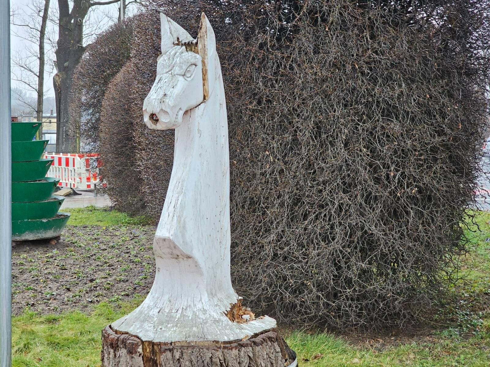 konik-bliski-zaamania-122226