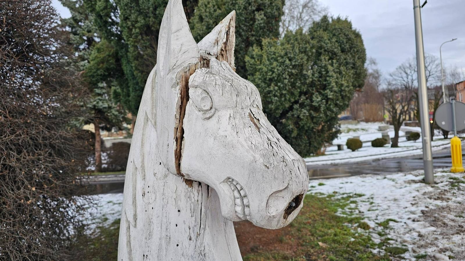 konik-bliski-zaamania-122226