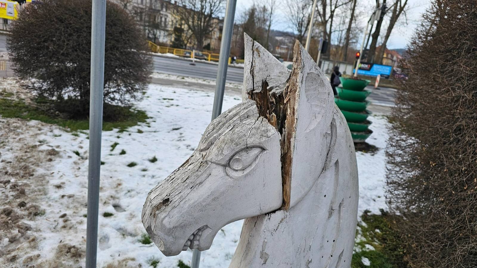 konik-bliski-zaamania-122226