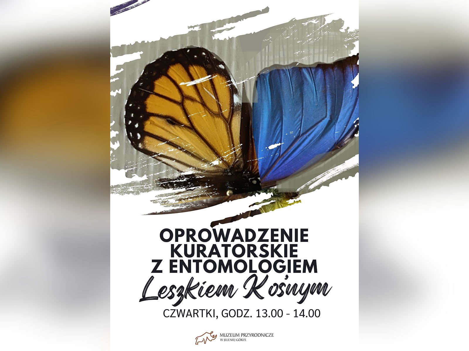 o-motylach-w-cieplicach-122906
