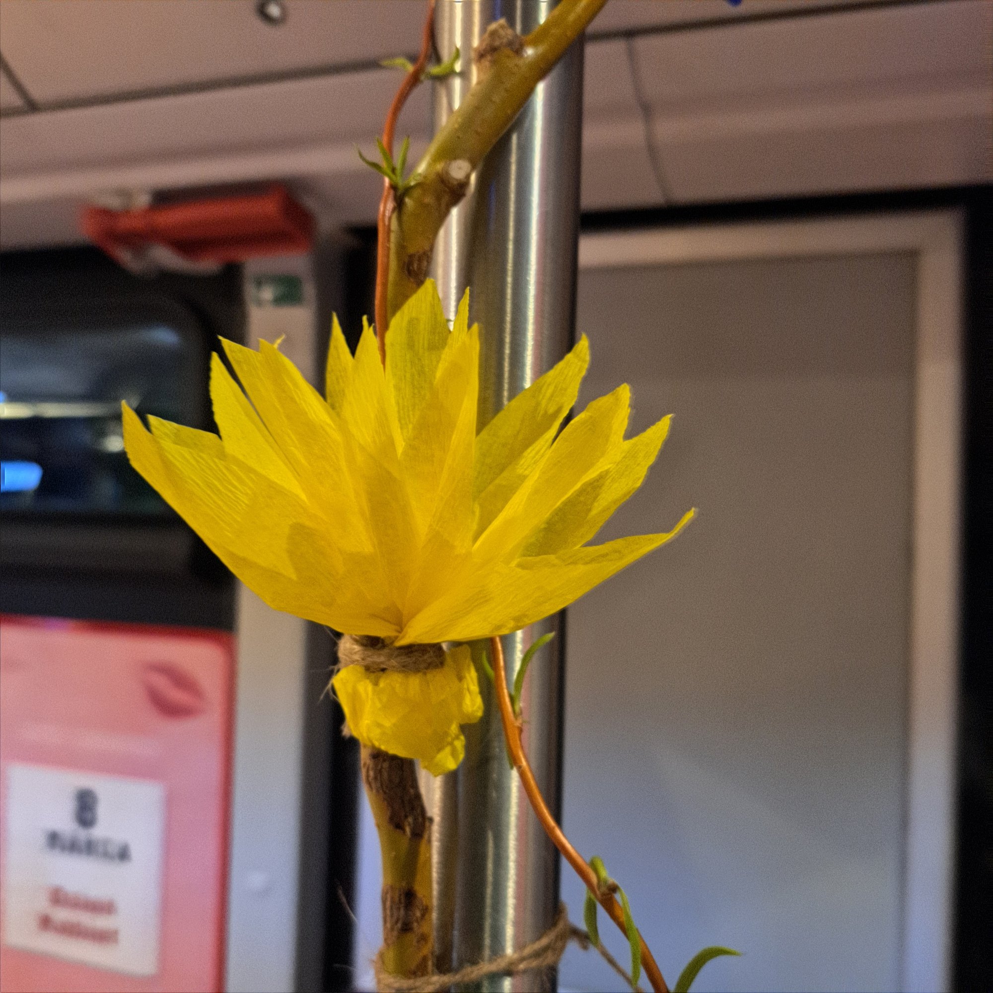 specjalny-autobus-na-dzien-kobiet-122909