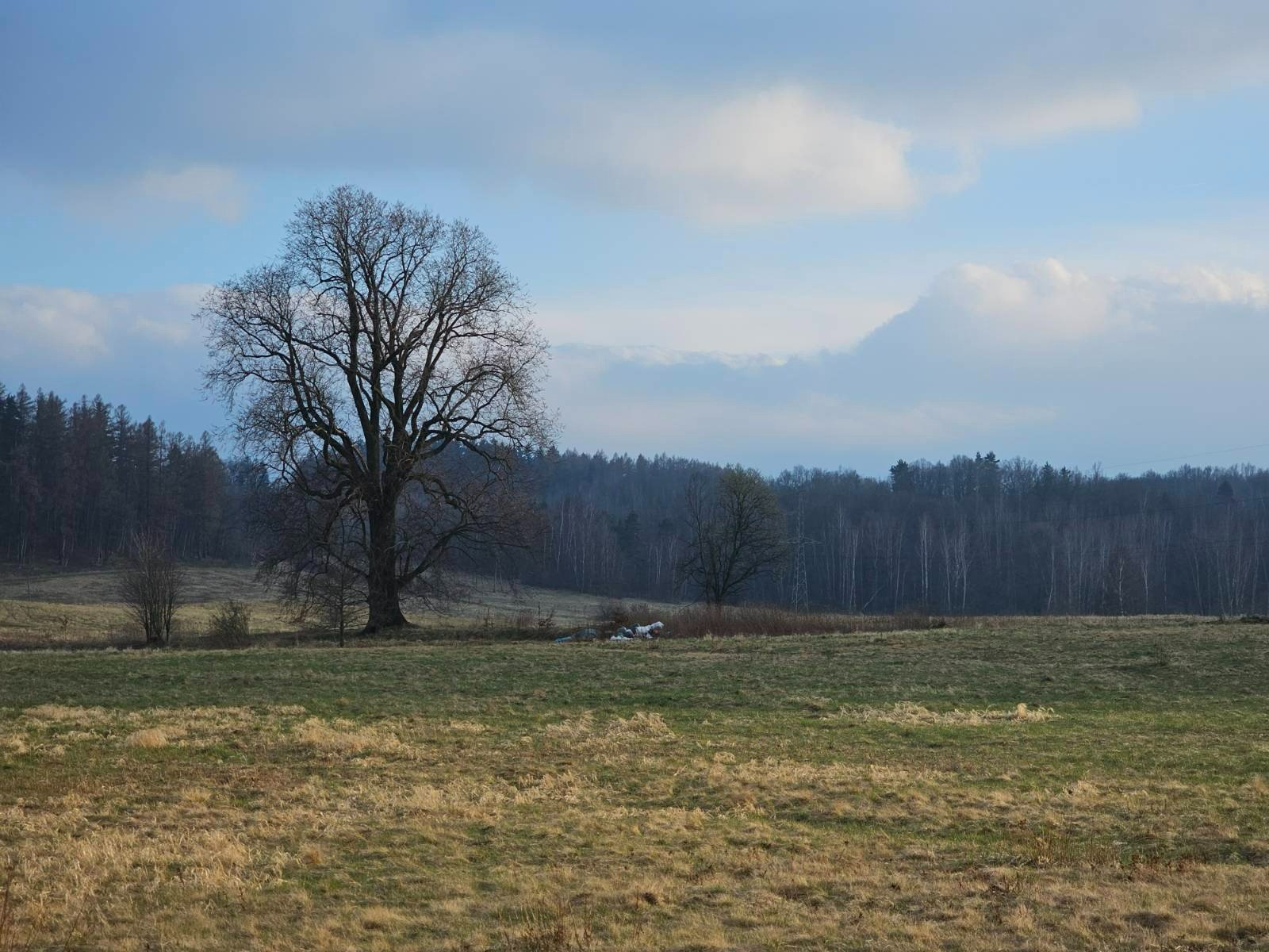 ktos-wyrzuci-smieci-za-mnichem-122959