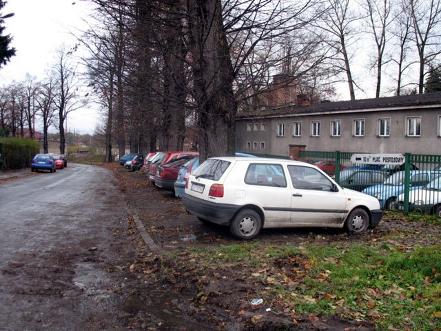 na-wykady-lepiej-piechota-12296