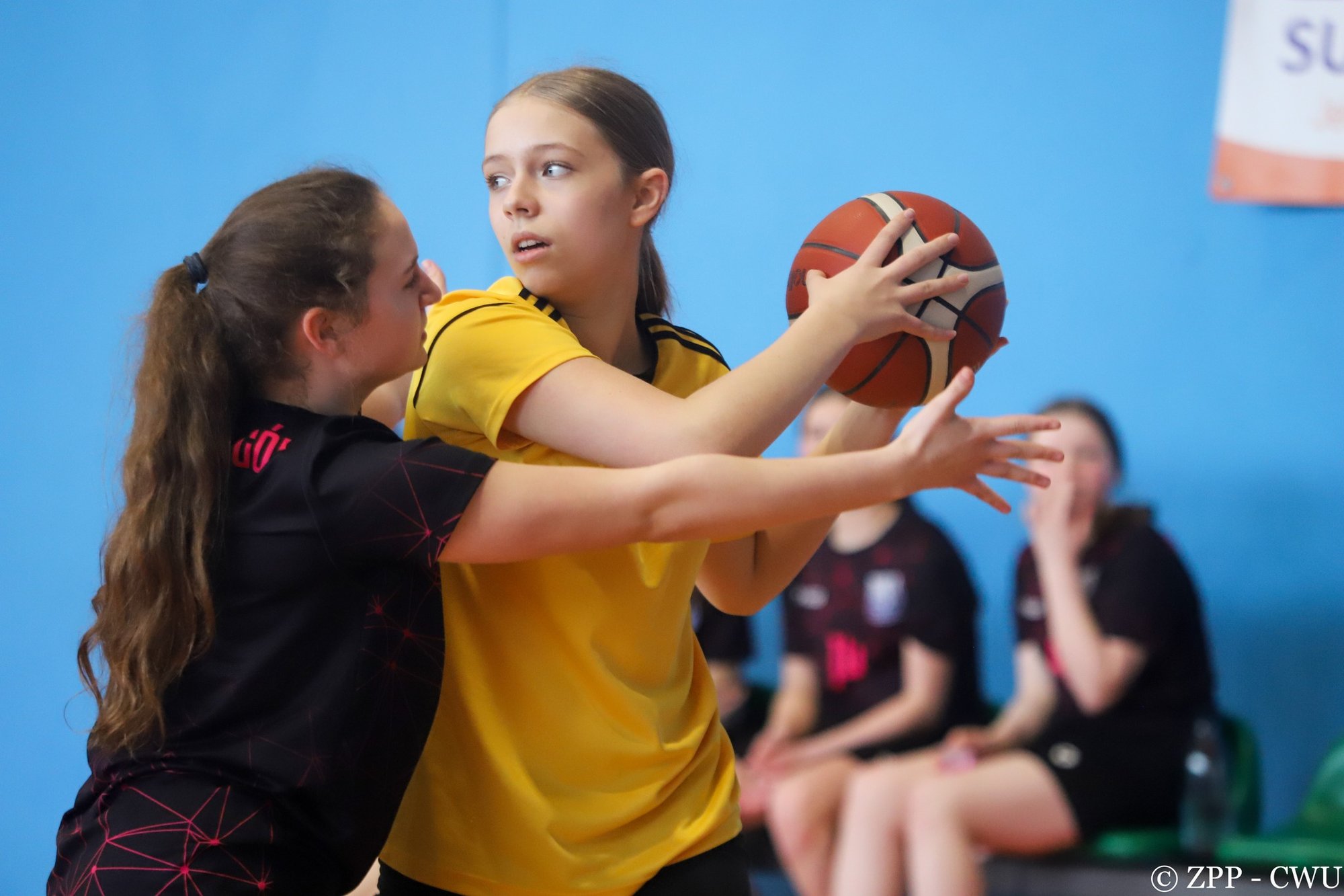 jelenia-gora-i-kamienna-gora-z-awansem-123056