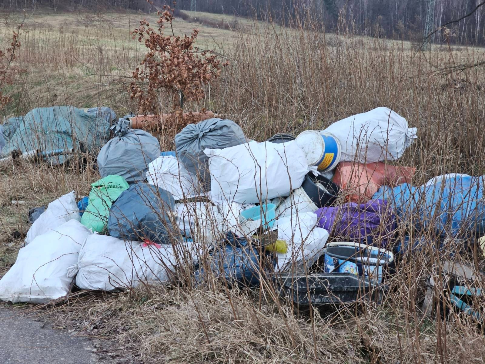 nielegalne-wysypisko-juz-posprzatane-123105