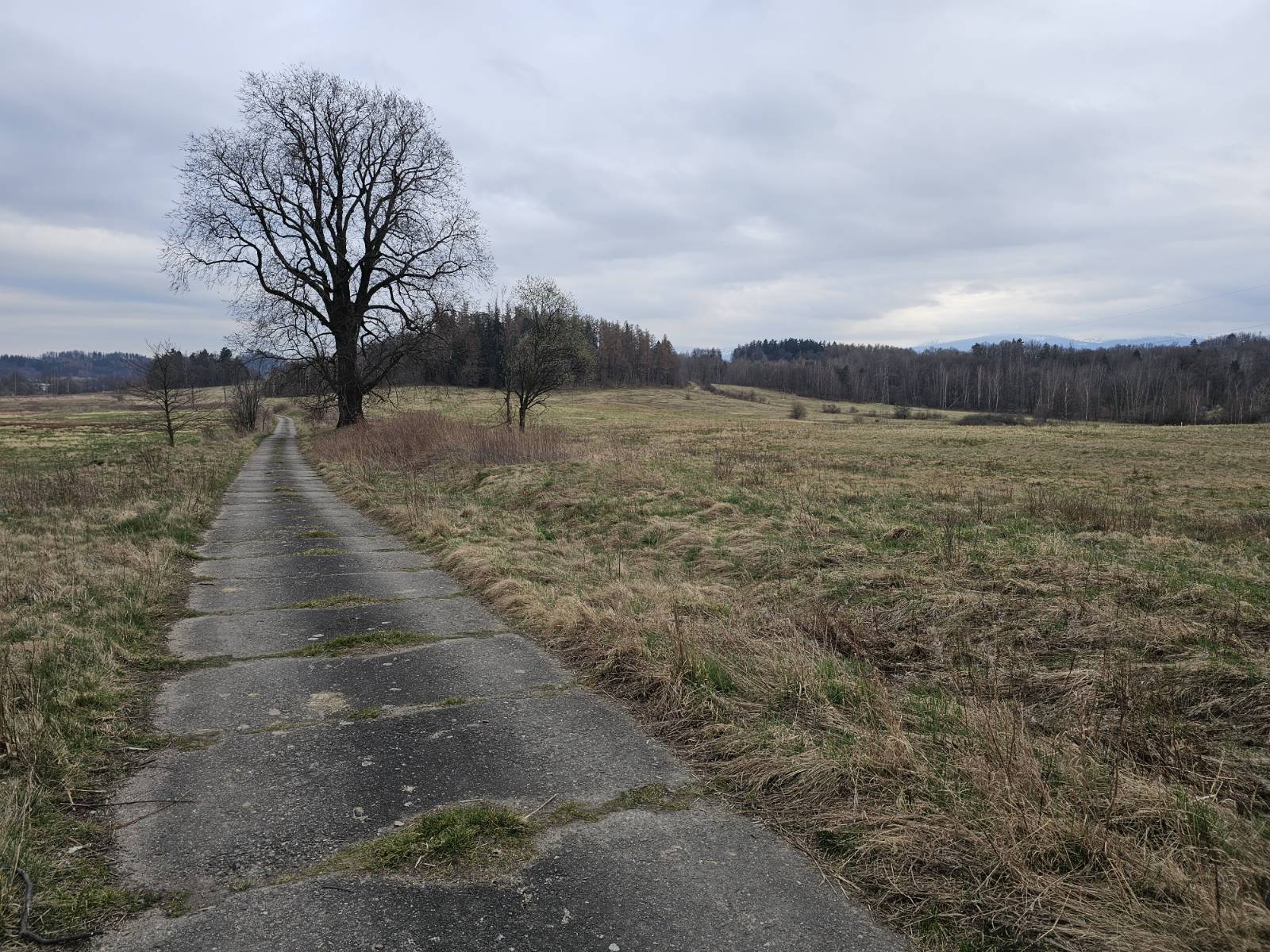 nielegalne-wysypisko-juz-posprzatane-123105