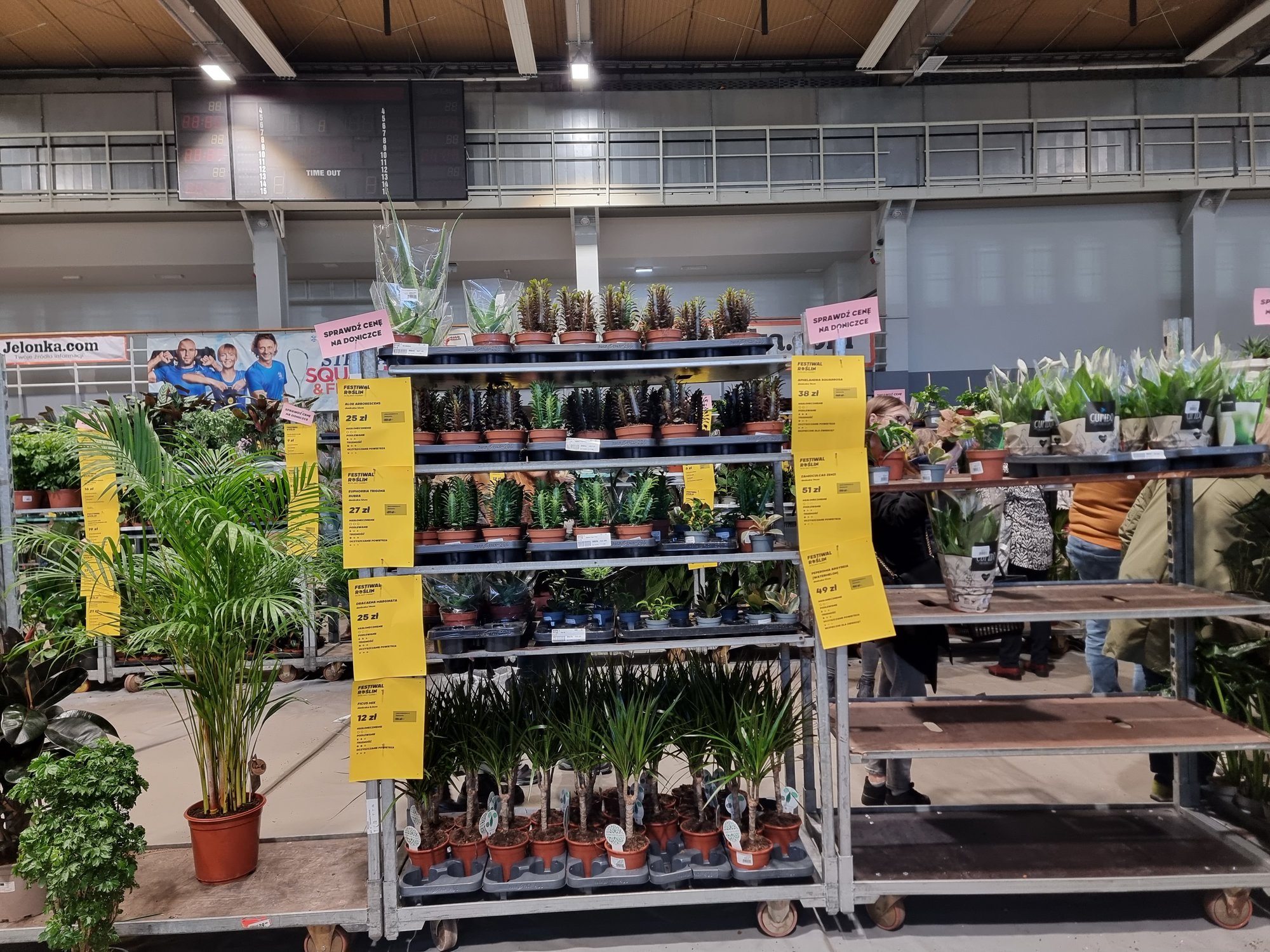 festiwal-roslin-na-zotniczej-123123