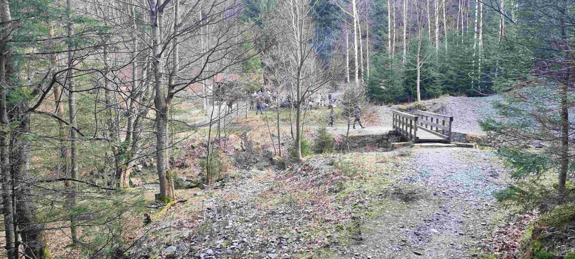 powitali-sonce-w-budnikach-123166