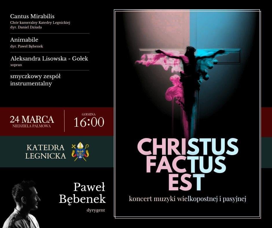koncert-w-katedrze-123193