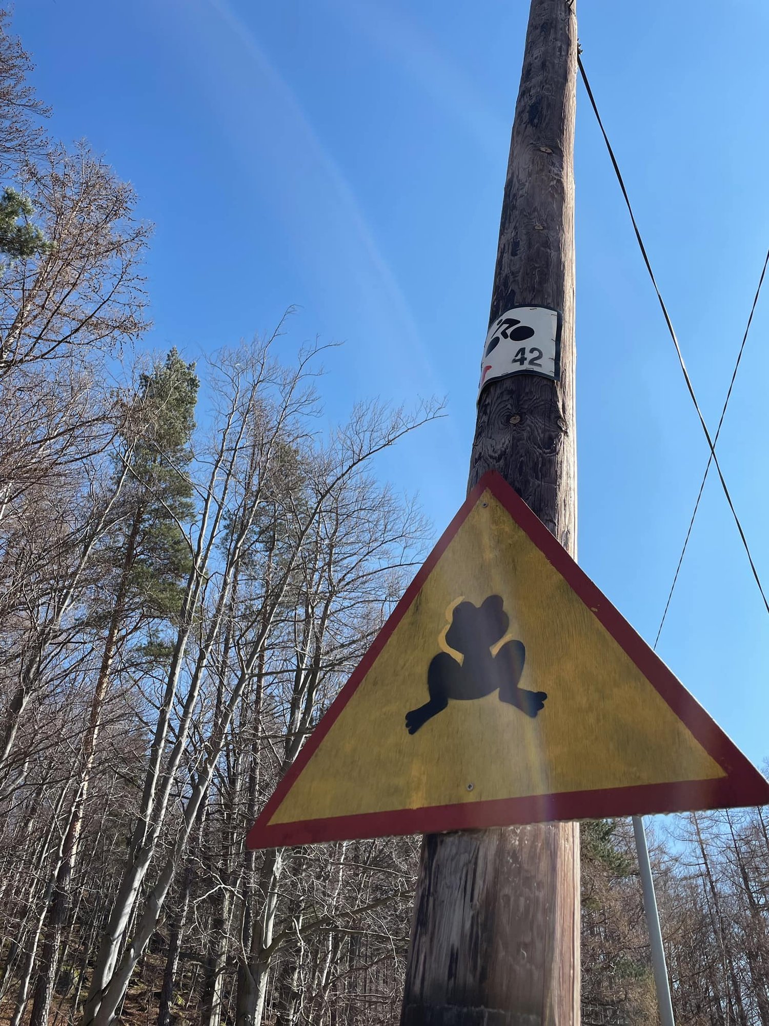 potki-dla-ochrony-pazow-123260