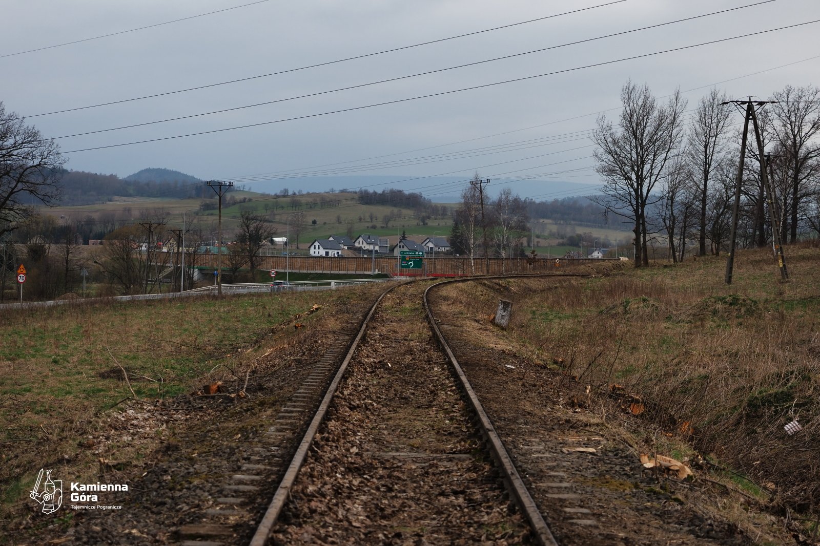 czyszcza-tory-z-drzew-123422
