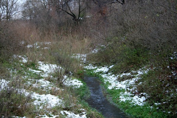 makabryczne-znalezisko-nad-mynowka-12346