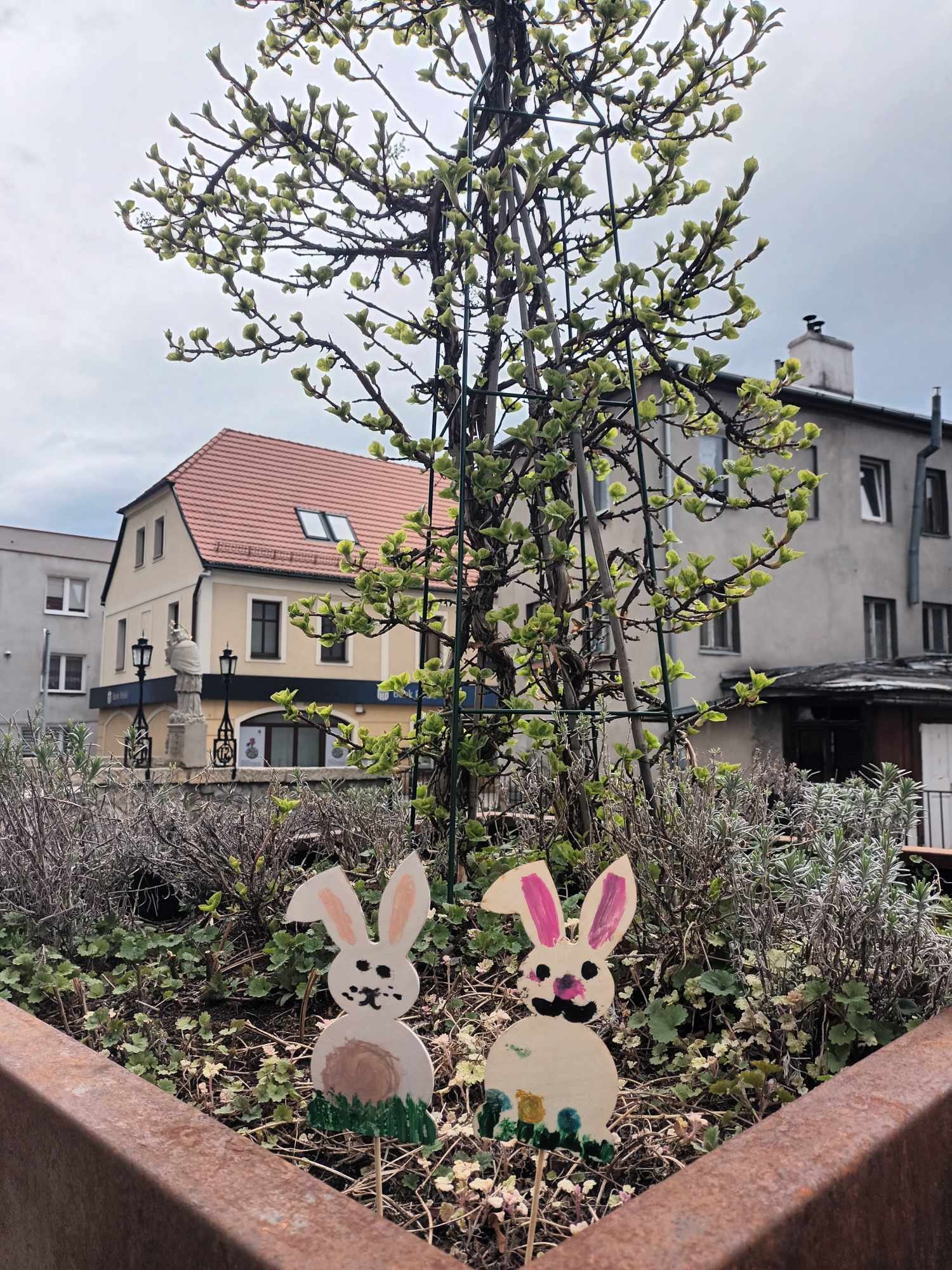 wielkanocna-starowka-123470