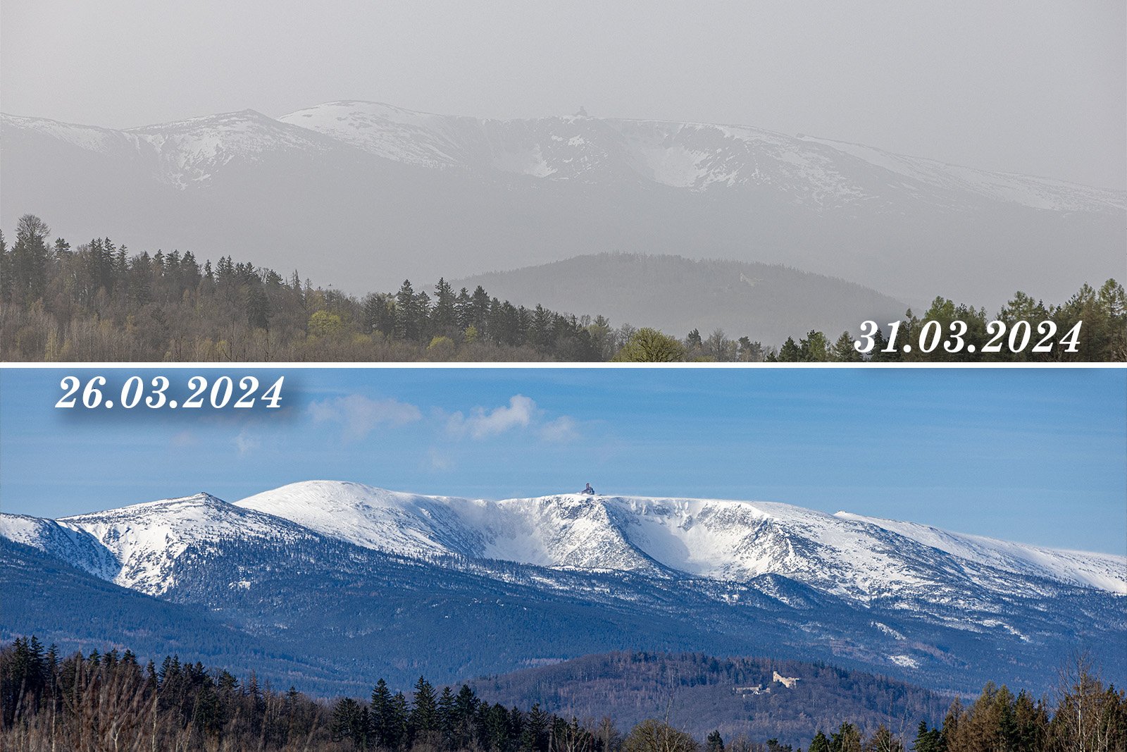 saharyjski-py-w-karkonoszach-123533