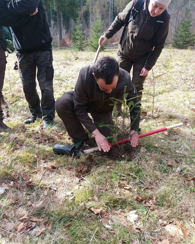jody-wracaja-w-karkonosze-123544