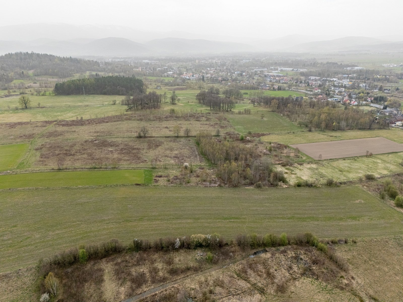 czy-to-py-z-wulkanu-czy-z-pustyni-123551