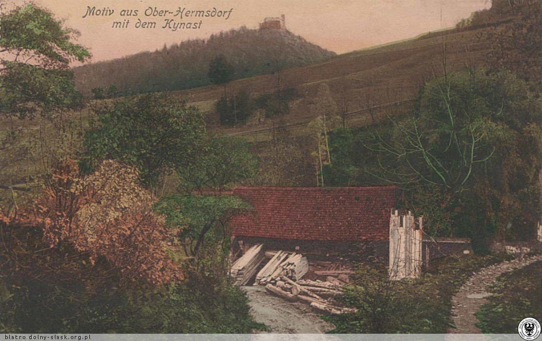 najlepsze-drewno-szo-za-granice-123571