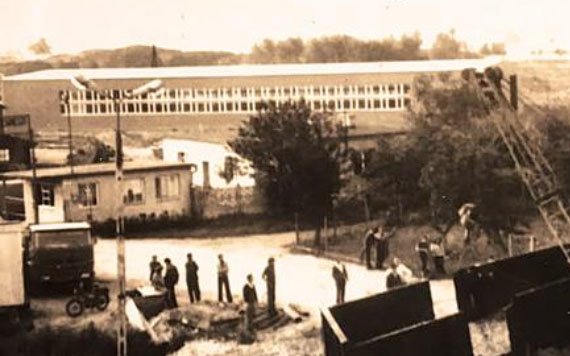 najlepsze-drewno-szo-za-granice-123571