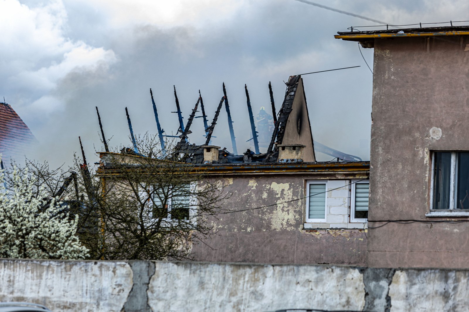 pozar-na-zabobrzu-szczegoy-zdarzenia-123579