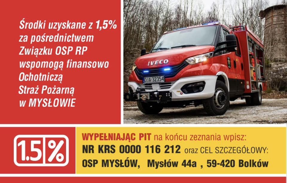 insignia-palia-sie-przy-drodze-123914