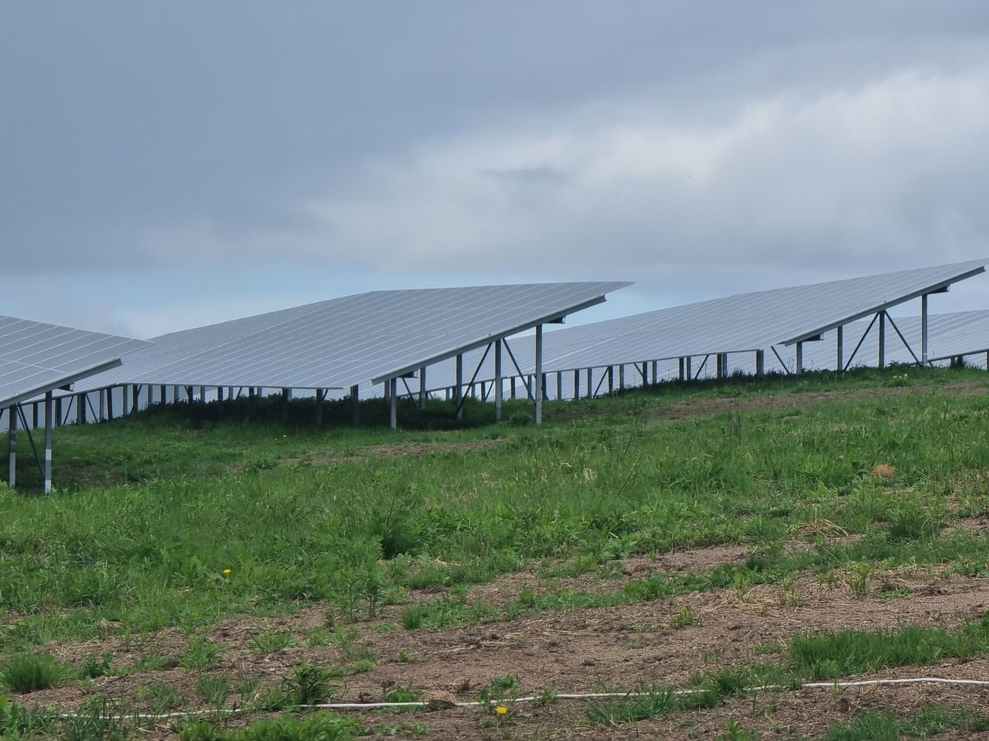 zielona-energia-z-farmy-na-spodzielczej-123934