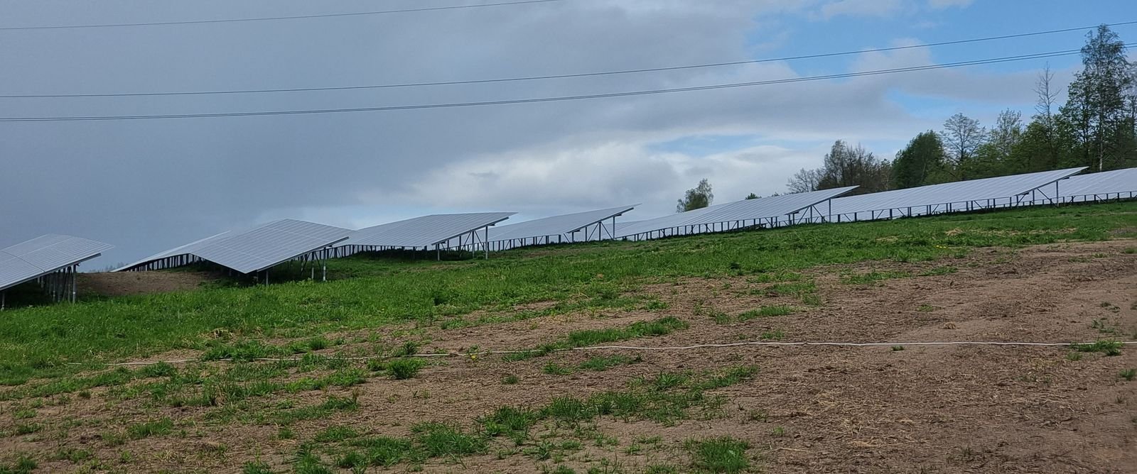 zielona-energia-z-farmy-na-spodzielczej-123934