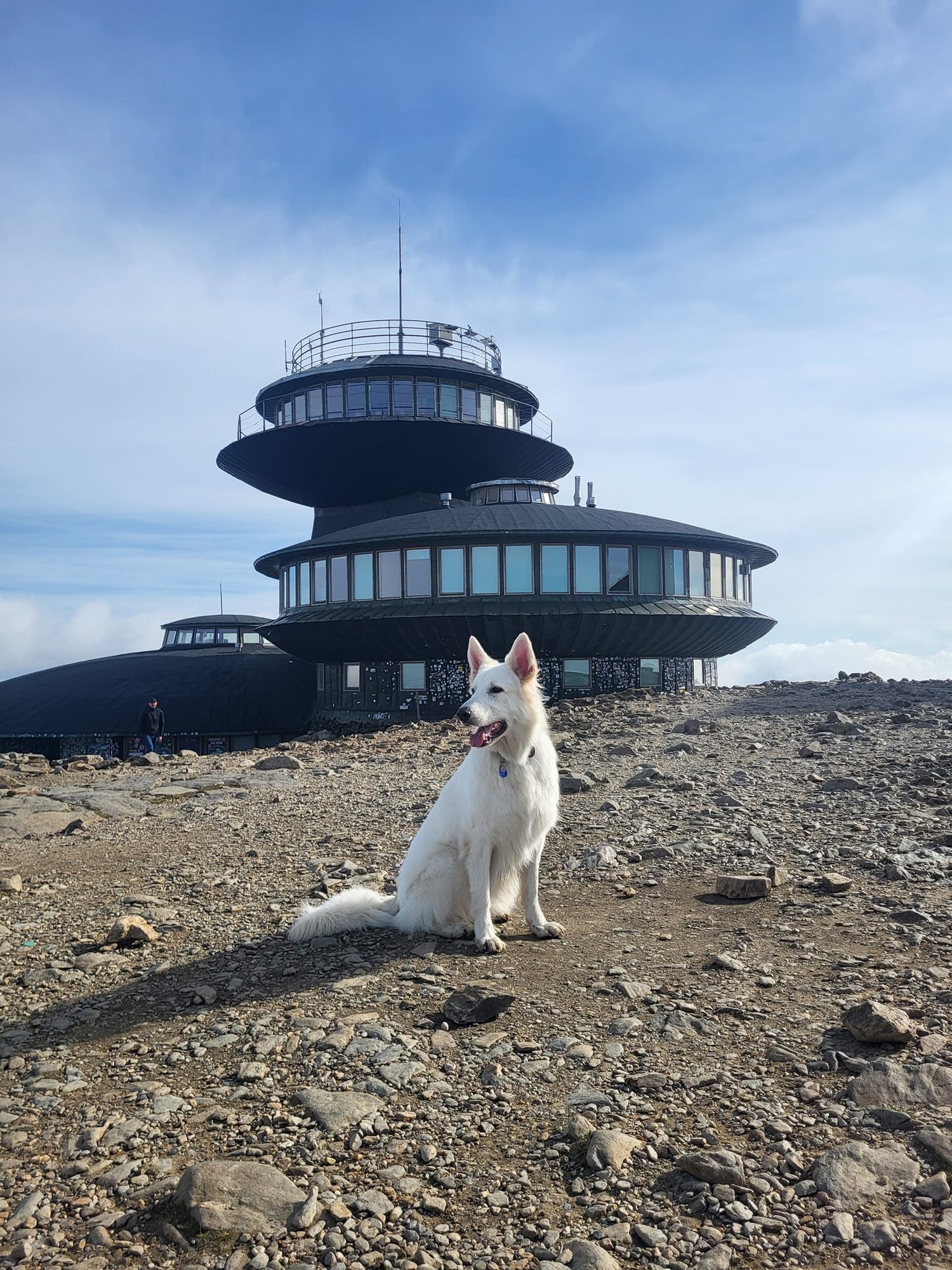 lizbonka-tez-kocha-karkonosze-123981